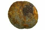 Polished Barite and Marcasite - Lubin Mine, Poland #335144-1